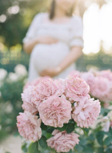 Lilac and Vine Photography portraits